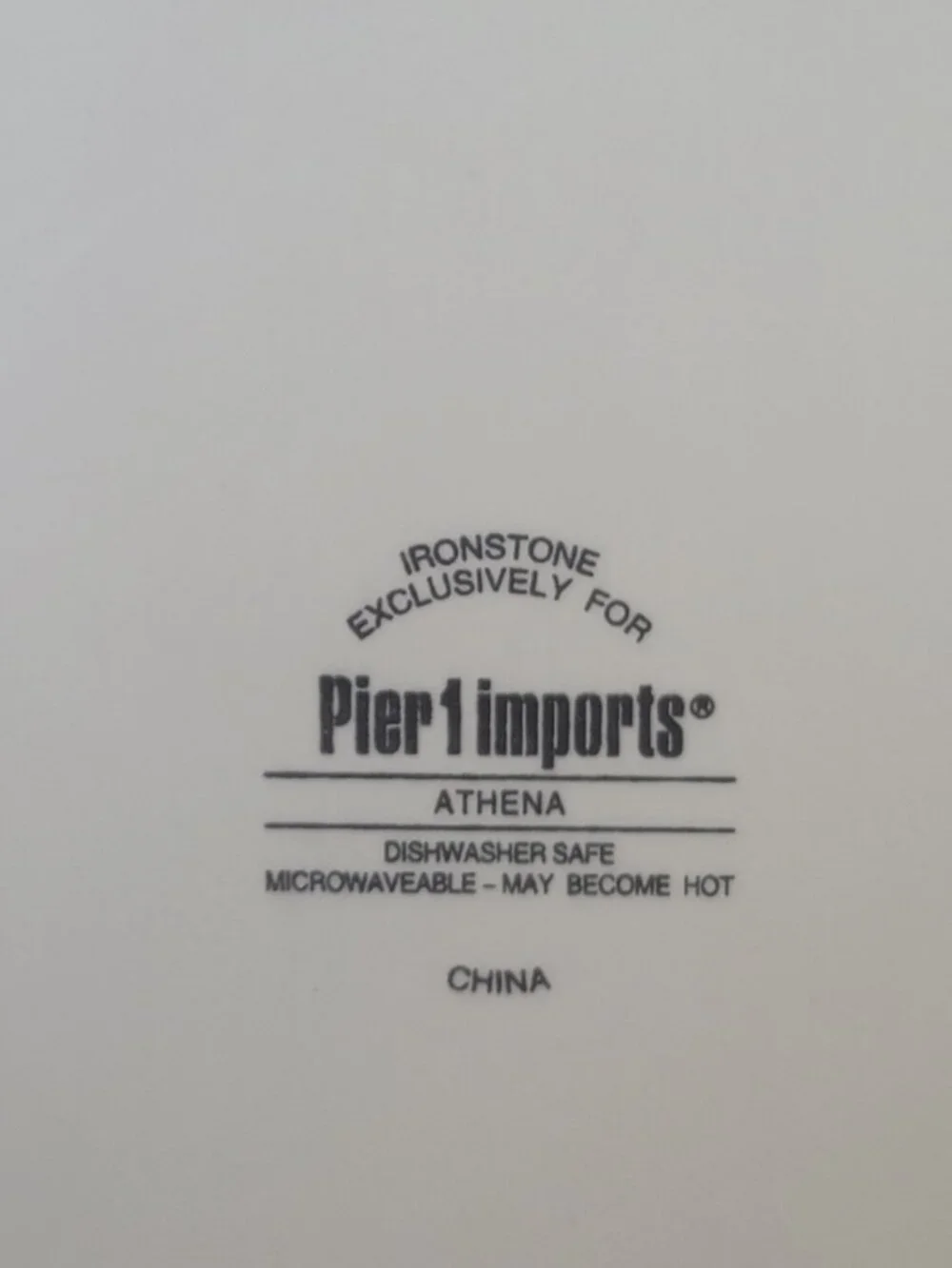 Pier 1 Imports ATHENA Embossed Rim Geometric Floral Pattern Dinner Plate 11 in